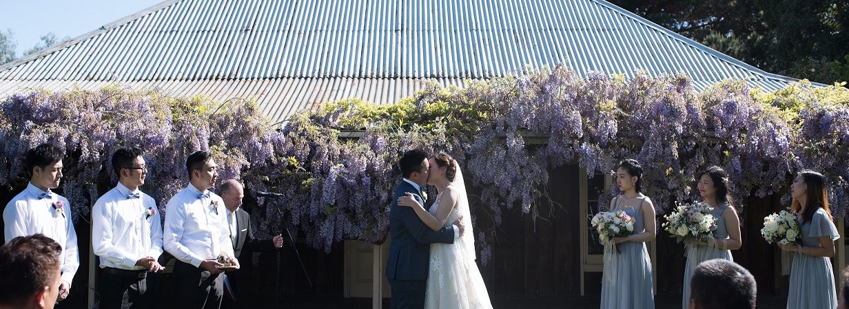 Newlyweds take their first kiss as Mr & Mrs in front of Sages Cottage at The stable sin the Mornington Peninsula and blooming wisteria frames their love